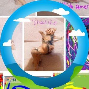 Meet your Posher, Mary lee